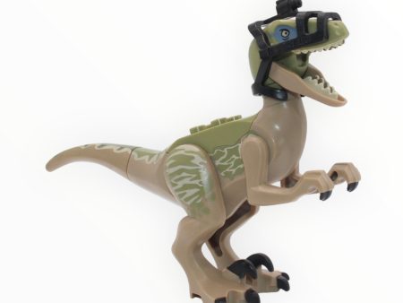 Delta (olive green and tan velociraptor, camera bridle) Hot on Sale