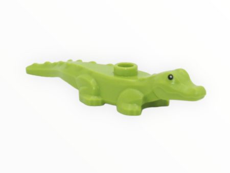 Lime Alligator   Crocodile Baby on Sale