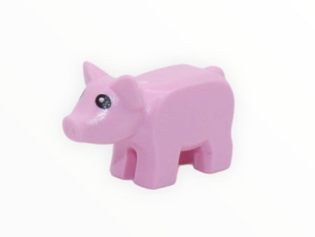 Bright Pink Piglet For Sale