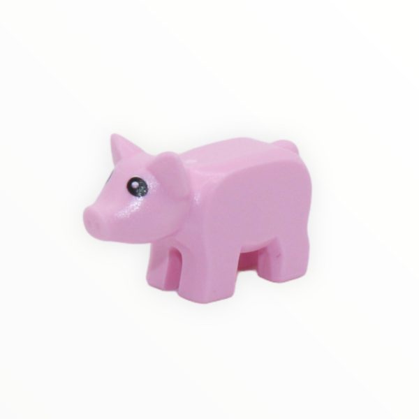 Bright Pink Piglet For Sale